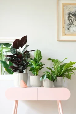 Brico Plantenpotten En -Bakken-Elho Bloempot Vibes Fold Rond O30Cm Wit