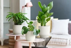 Brico Plantenpotten En -Bakken-Elho Bloempot Vibes Fold Rond O30Cm Wit