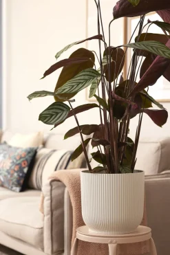 Brico Plantenpotten En -Bakken-Elho Bloempot Vibes Fold Rond O30Cm Wit