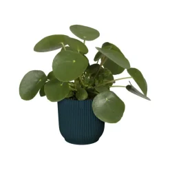 Brico Plantenpotten En -Bakken-Elho Bloempot Vibes Fold Rond O22Cm Deep Blue