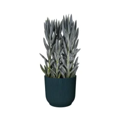 Brico Plantenpotten En -Bakken-Elho Bloempot Vibes Fold Rond O22Cm Deep Blue