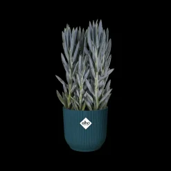 Brico Plantenpotten En -Bakken-Elho Bloempot Vibes Fold Rond O22Cm Deep Blue