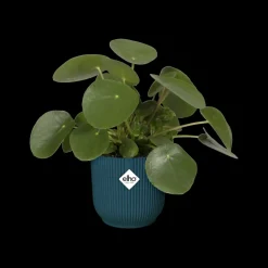Brico Plantenpotten En -Bakken-Elho Bloempot Vibes Fold Rond O22Cm Deep Blue