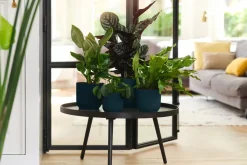 Brico Plantenpotten En -Bakken-Elho Bloempot Vibes Fold Rond O22Cm Deep Blue