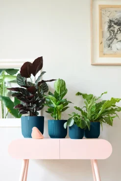 Brico Plantenpotten En -Bakken-Elho Bloempot Vibes Fold Rond O22Cm Deep Blue