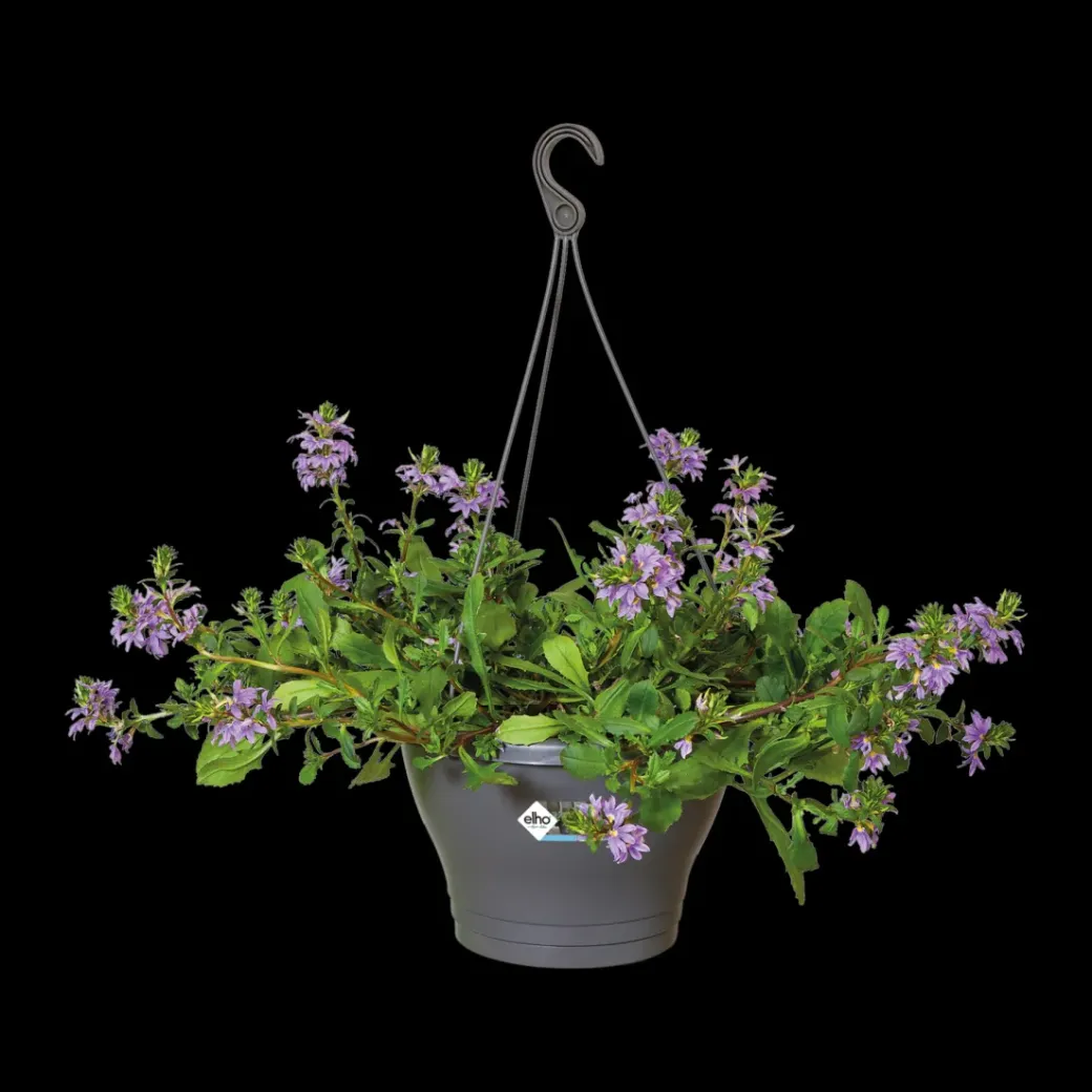 Brico Plantenpotten En -Bakken-Elho Hangschaal Corsica O30Cm Antraciet