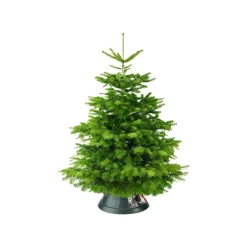 Elho Kerstboomvoet Nordman Groen 39Cm|Brico Discount