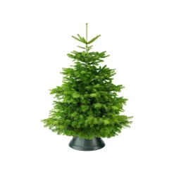 Elho Kerstboomvoet Nordman Groen 39Cm|Brico Discount