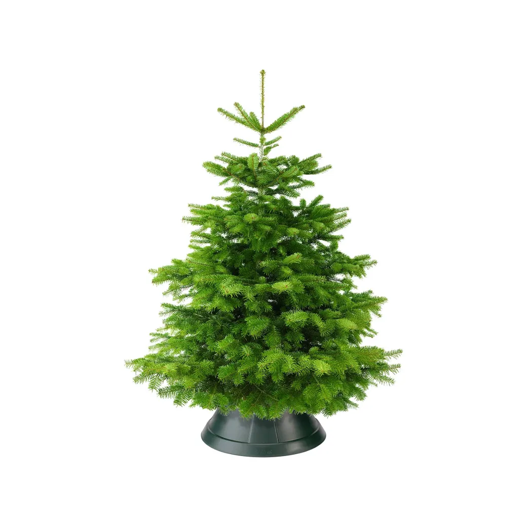 Elho Kerstboomvoet Nordman Groen 52Cm|Brico Online