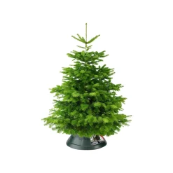 Elho Kerstboomvoet Nordman Groen 52Cm|Brico Online