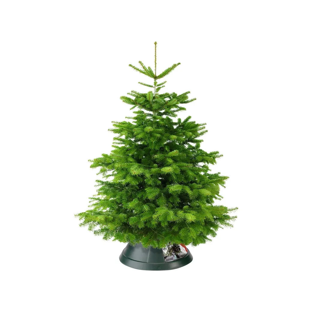 Elho Kerstboomvoet Nordman Groen 52Cm|Brico Online
