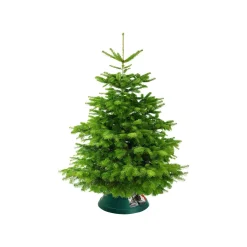 Elho Kerstboomvoet Oslo Kunststof 38Cm|Brico Sale