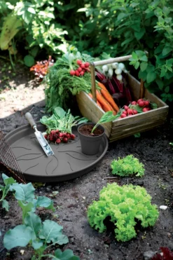 Brico Plantenpotten En -Bakken-Elho Schotel Green Basics O14Cm Zwart