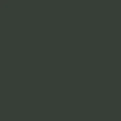 Brico Vliesbehang-Elle Vliesbehang Velvet Uni Groen