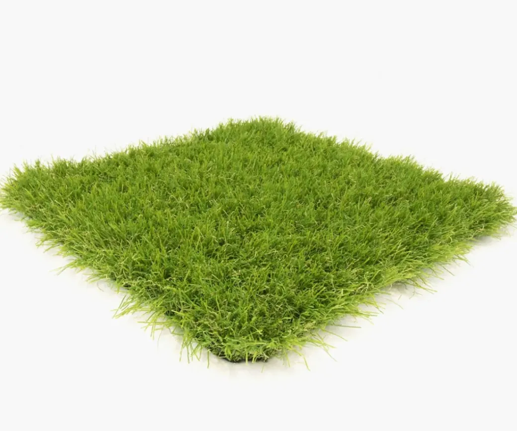 Brico Kunstgras-Exelgreen Kunstgras Azaro 40 Mm/2X3M
