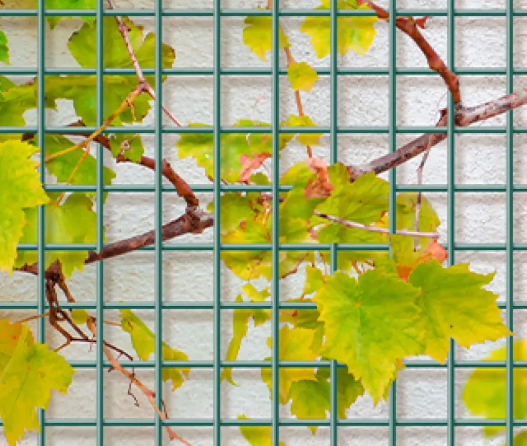 Brico Draadpanelen En Afrastering-Giardino Gaaspaneel Bari Antraciet 180X90Cm
