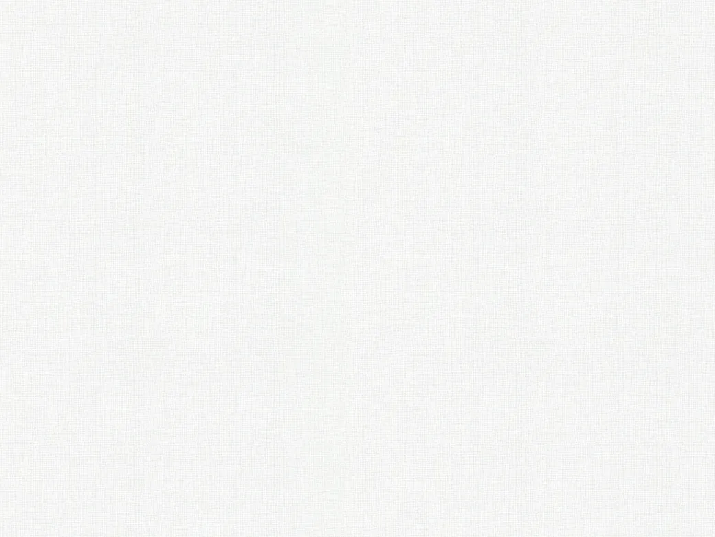 Brico Glasvezelbehang-Glasweefselbehang Novelio Nature Flair Snow 185Gr 10M