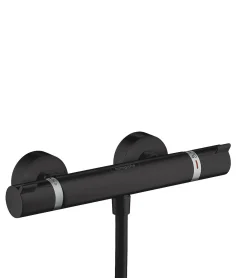 Hansgrohe Thermostatische Douchekraan Ecostat Zwart Mat|Brico Online