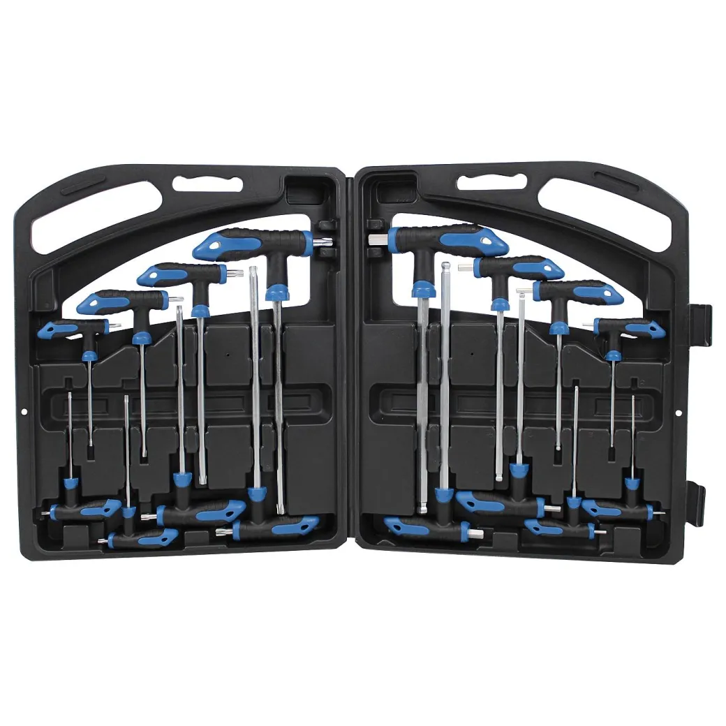 Hyundai Inbus En Torxsleutel Set T-Greep 16 Delig|Brico Discount