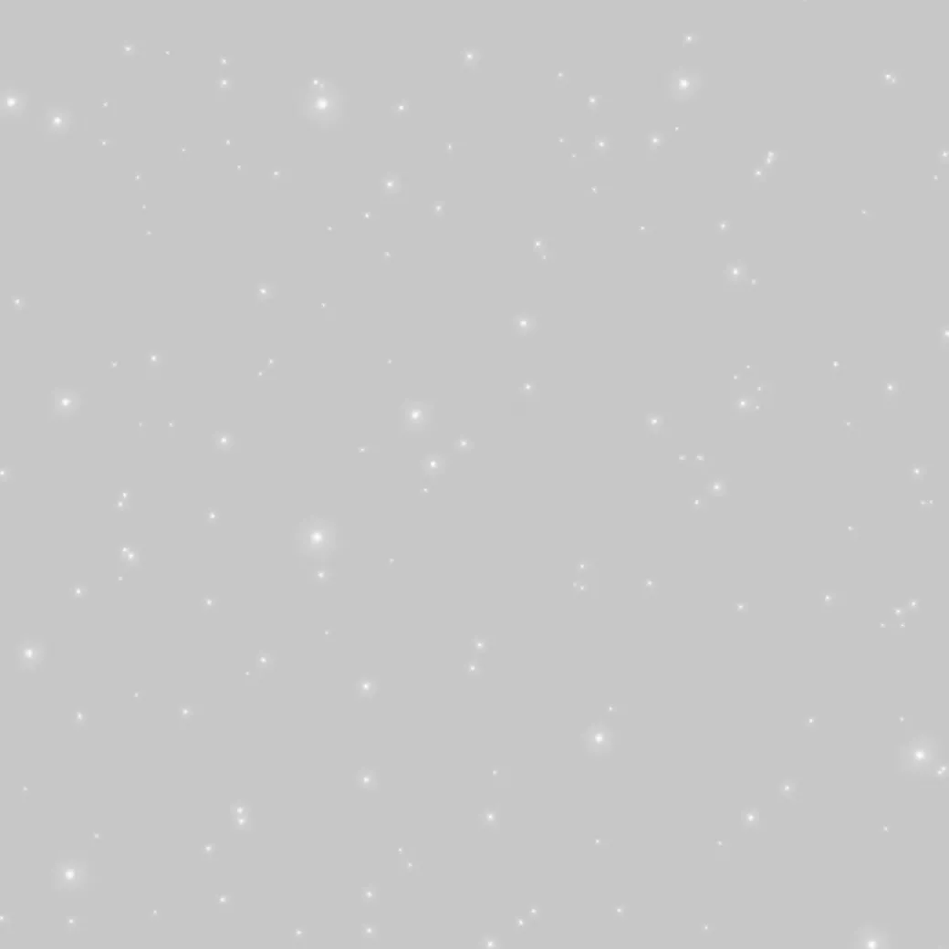 Brico Decoratieve Verf-Id Glitterverf Paillett' Polar 2L