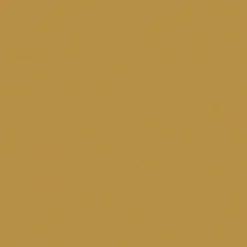 Brico Muurverf-Id Metaalverf Pur Metal Goud 2L