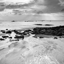 Brico Primers-Id Primer Algo Deco Wit 2L