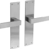 Brico Deurbeslag-Intersteel Deurklink Amsterdam + Plaat 250X55X2Mm Blind Geborsteld Rvs