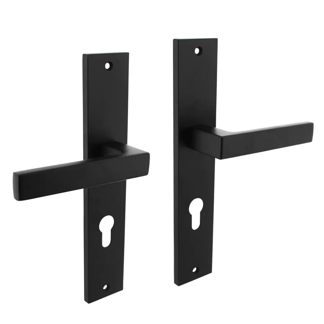 Brico Deurbeslag-Intersteel Deurklink Op Plaat Hera 245X45 Mm Profielcilindergat 72Mm Matzwart