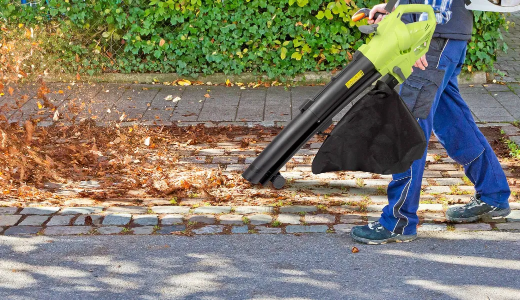 Kinzo Bladblazer - Met Opvangzak - 3000W - 3-In-1|Brico Clearance