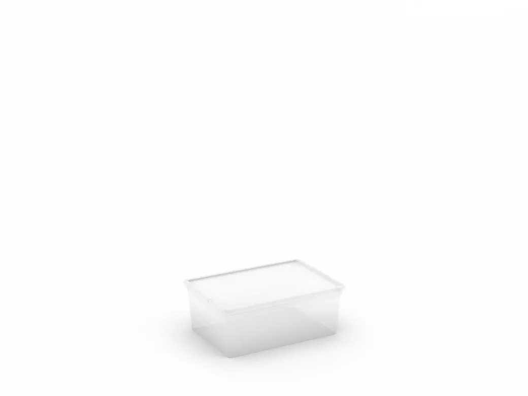 Kis C-Box Opbergbox S Transparant 10,5L|Brico Best