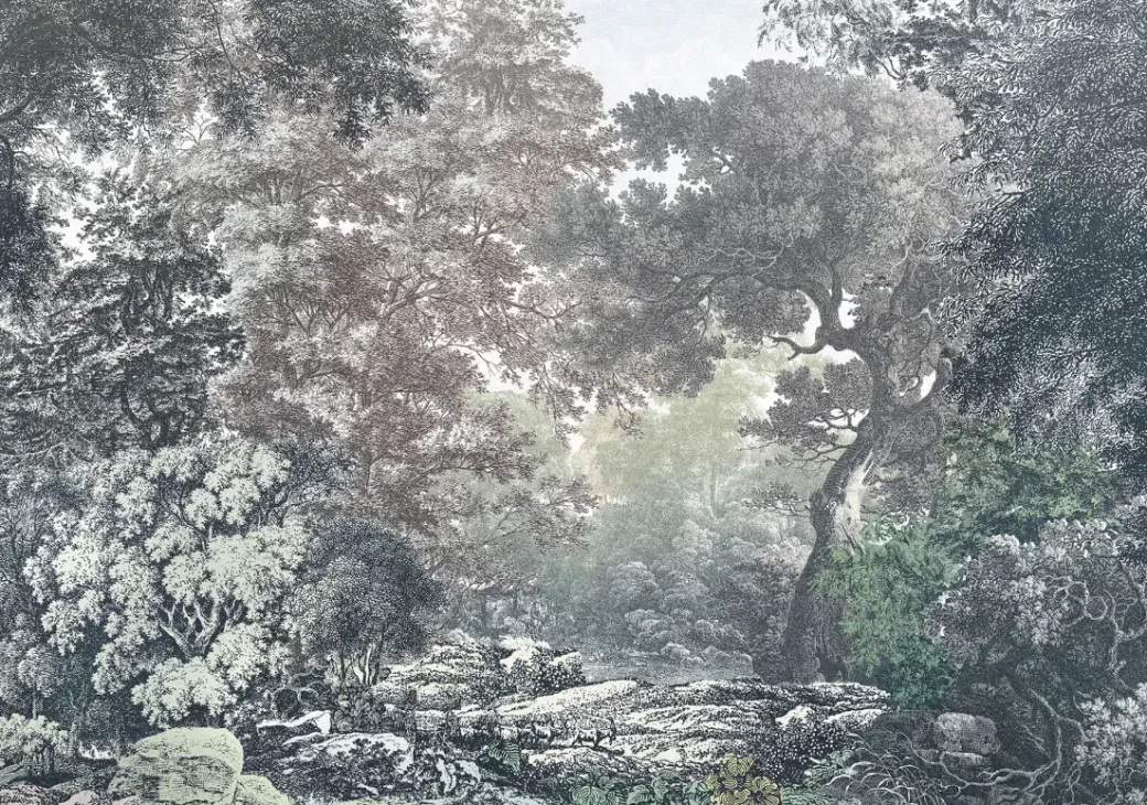 Brico Fotobehang-Komar Fotobehang Fairytale Forest 400X280Cm