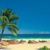 Brico Fotobehang-Komar Muurfoto Seychellen 270X194Cm