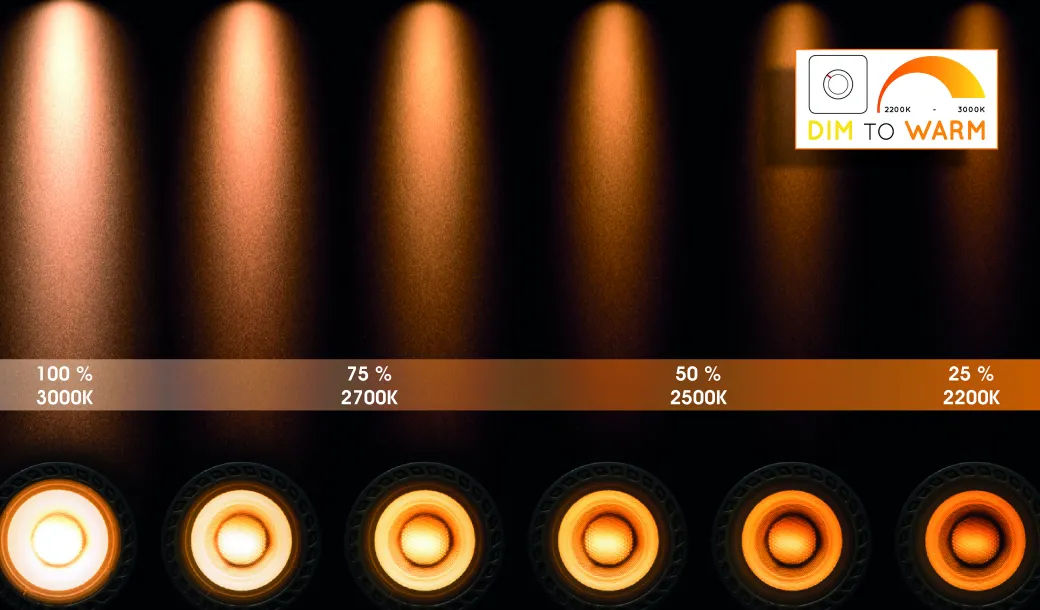 Lucide Spot Led Taylor Zwart 2X5W|Brico Discount