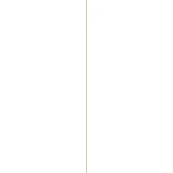 Mdf-Plaat Gelakt 1-Zijdig Wit 244X122Cm 3Mm|Brico Clearance