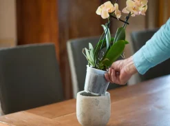 Brico Plantenpotten En -Bakken-Nature Orchideeen Pot Transparant O12Cm