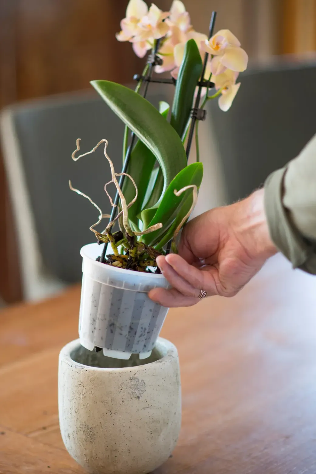 Brico Plantenpotten En -Bakken-Nature Orchideeen Pot Transparant O12Cm