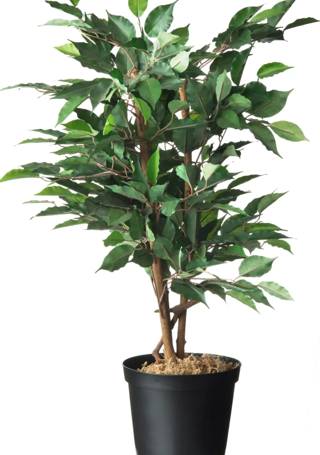 Brico Plantenpotten En -Bakken-Nature Tuinplantcontainer 10L O28,4X22Cm
