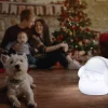 Newgarden Klaus 30 Play & Light Bluetooth Speaker|Brico