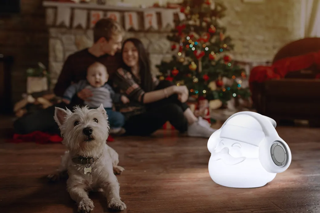 Newgarden Klaus 30 Play & Light Bluetooth Speaker|Brico