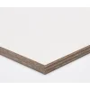 Paintplex Multiplex Plaat 122X244Cm 12Mm|Brico Best