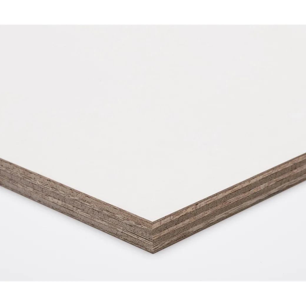 Paintplex Multiplex Plaat 122X244Cm 18Mm|Brico Outlet