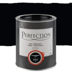 Brico Lakken-Perfection Lak Ultradekkend Hoogglans Koolstoff Zwart 750Ml