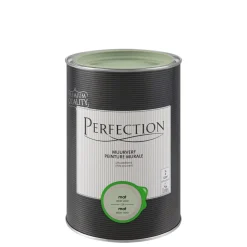 Brico Muurverf-Perfection Ultradekkende Muurverf Aloe Vera Mat 1L