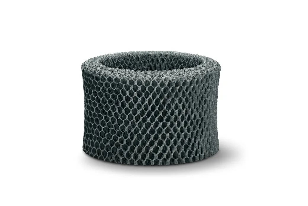 Philips Bevochtigingsfilter Fy2401/30|Brico Outlet