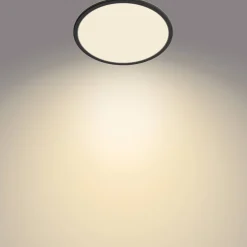 Philips Plafondlamp Superslim Zwart O30Cm 18W|Brico