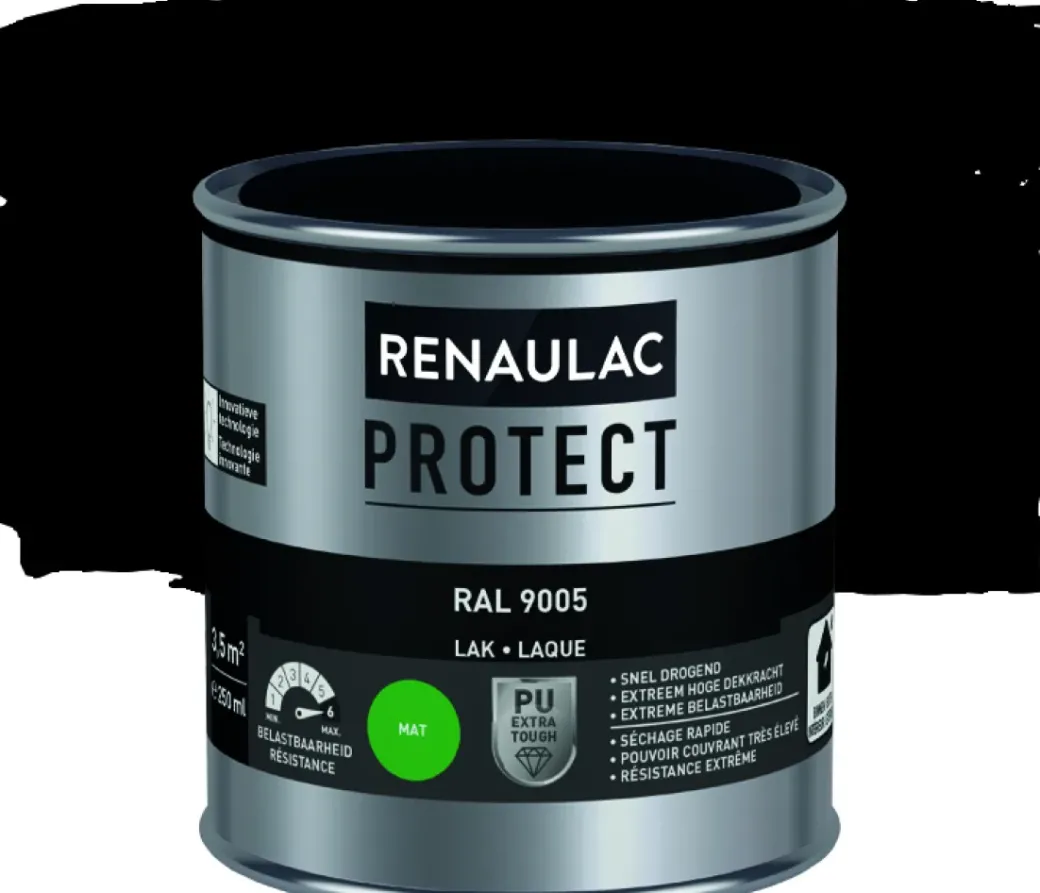 Brico Lakken-Renaulac Lak Protect Ral9005 Mat 250Ml