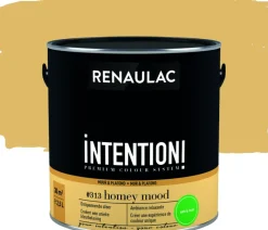 Brico Muurverf-Renaulac Muur- En Plafondverf Intention Homey Mood Extra Mat 2,5L