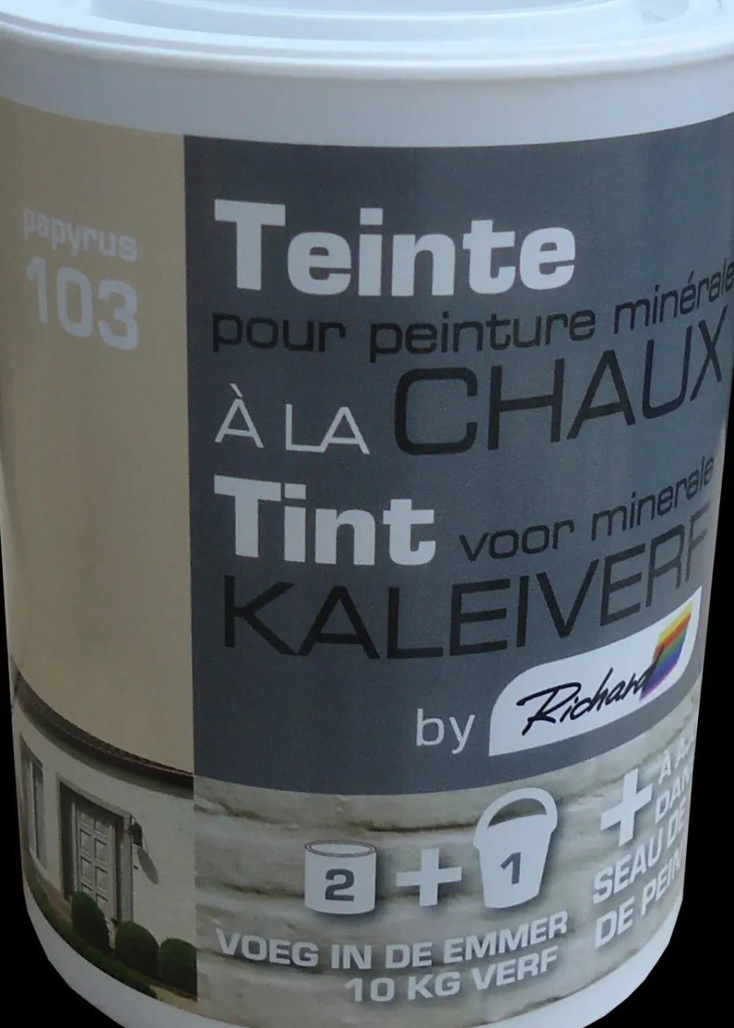 Brico Decoratieve Verf-Richard Tint Voor Kaleiverf Papyrus 250G