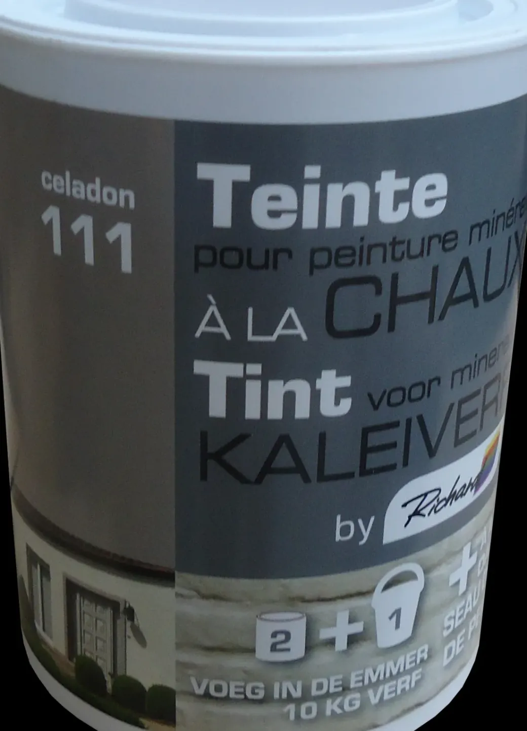 Brico Decoratieve Verf-Richard Tint Voor Kaleiverf Celadon 250G