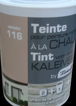 Brico Decoratieve Verf-Richard Tint Voor Kaleiverf Veneto 250G